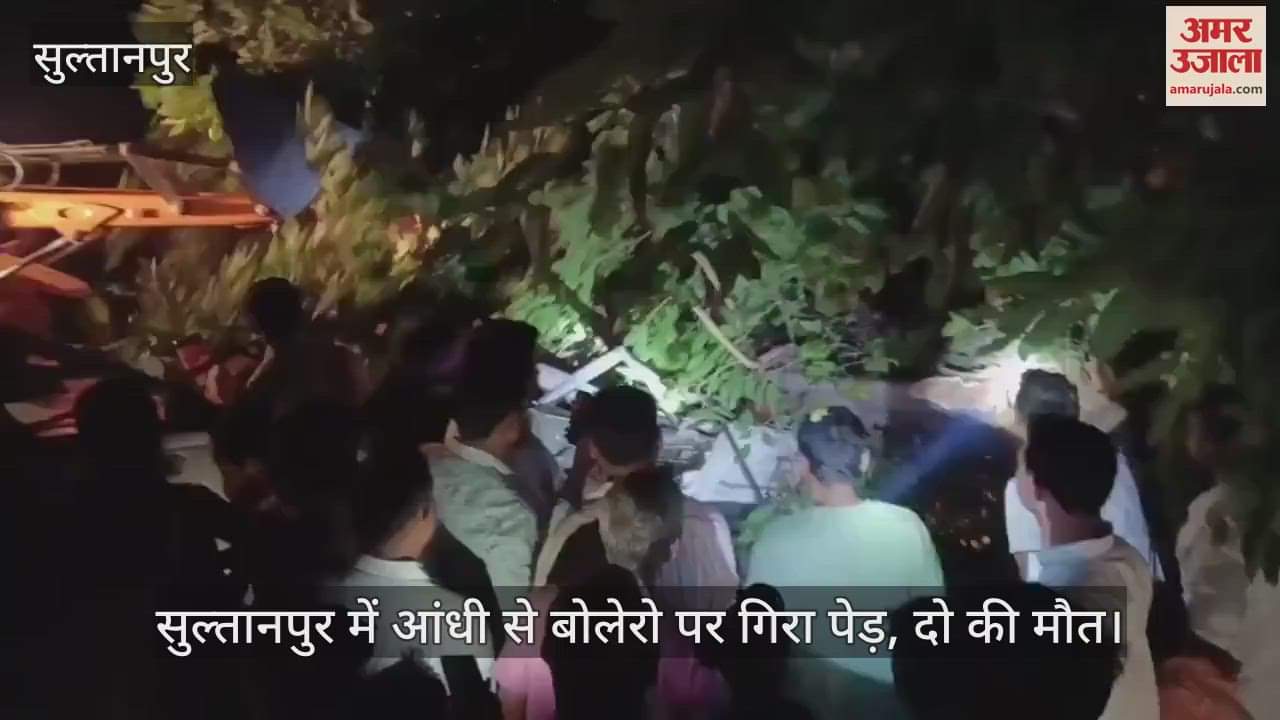 सुल्तानपुर में आंधी से बोलेरो पर गिरा पेड़, दो की मौत