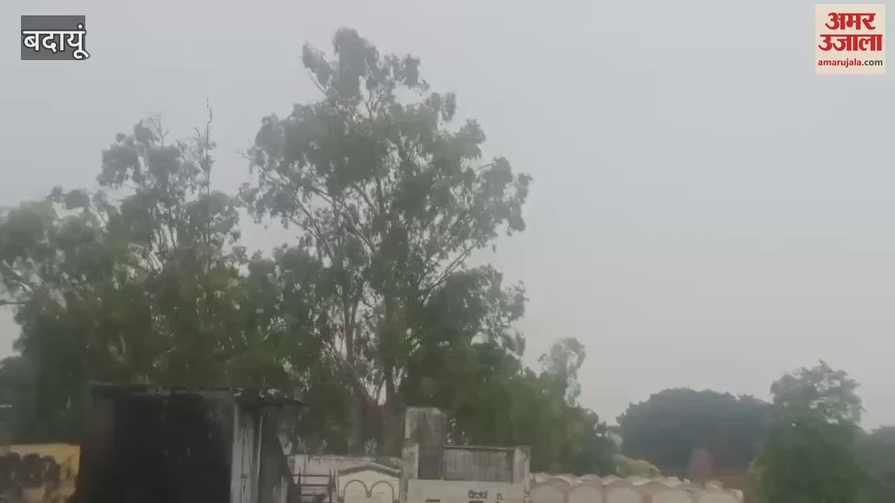 Heavy rain accompanied by strong winds in Budaun