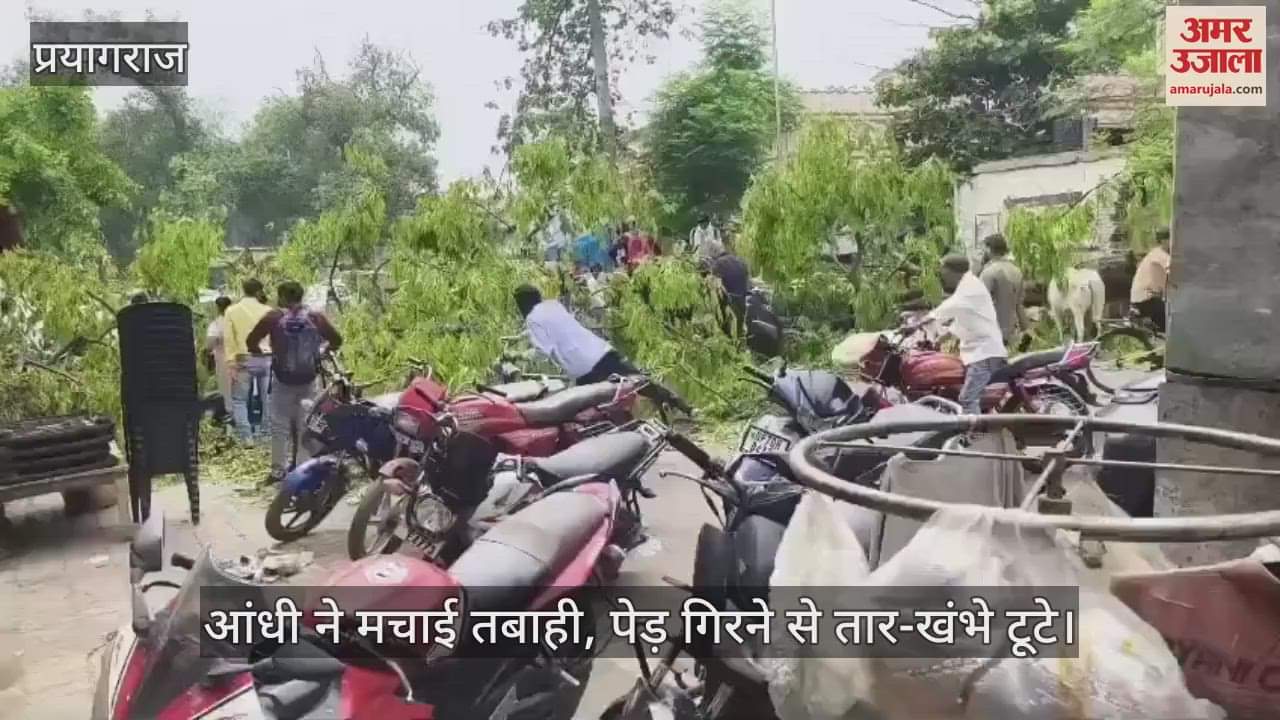 Prayagraj Weather: Storm and rain wreaked havoc, dozens of trees fell on vehicles and high tension wires, public life affected