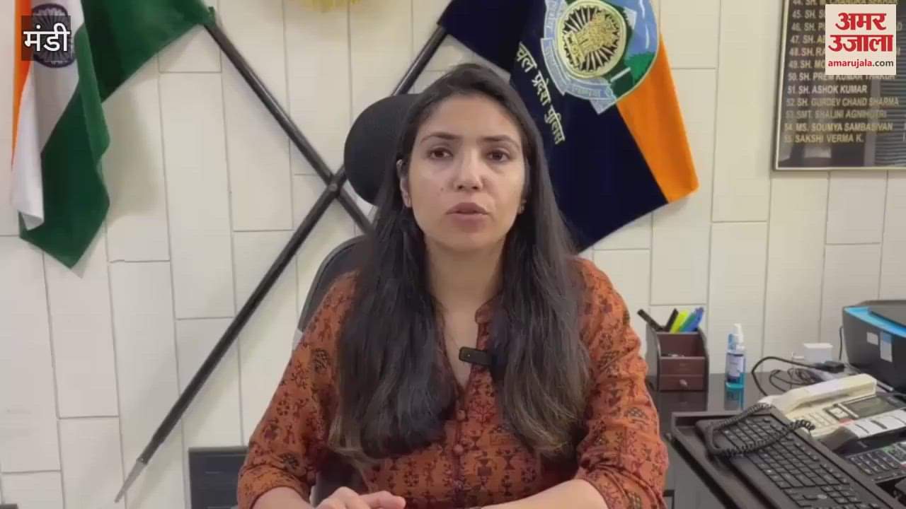 Mandi 16 grams of chitta recovered in two cases in Sundarnagar area case registered