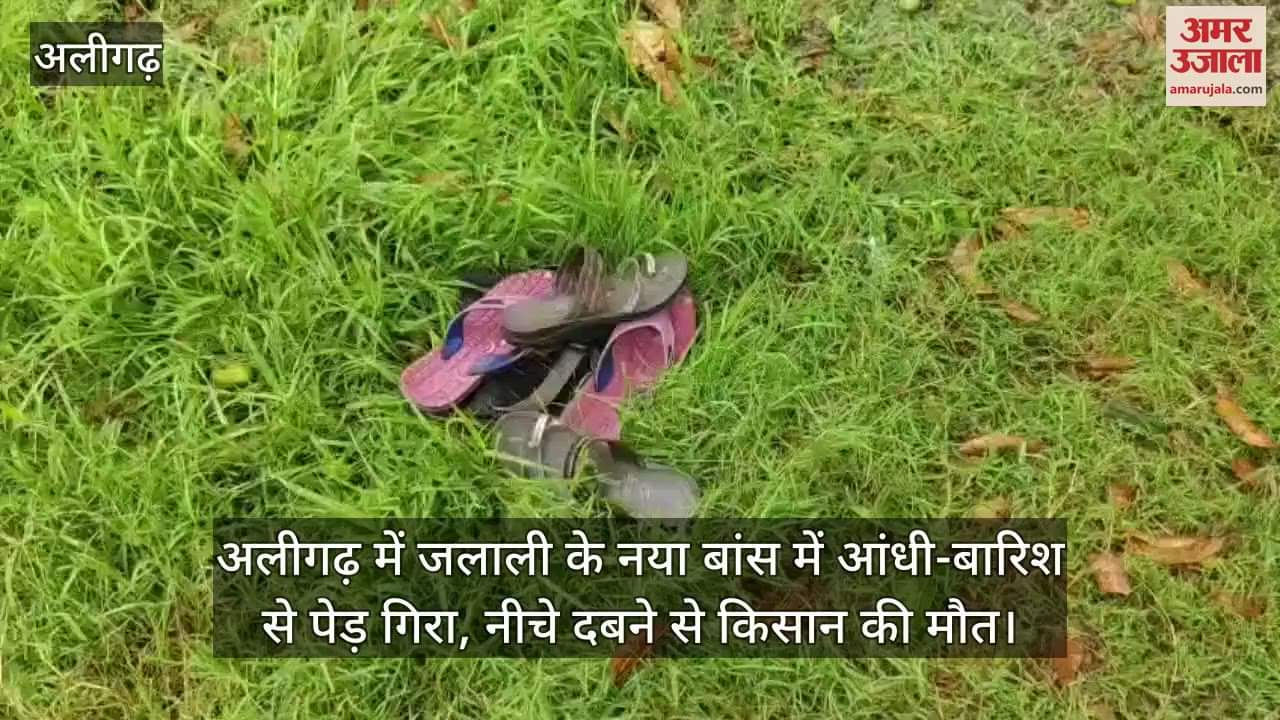 अलीगढ़ में जलाली के नया बांस में आंधी-बारिश से पेड़ गिरा, नीचे दबने से किसान की मौत