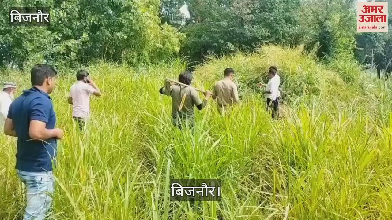 In Bijnor, a leopard attacked a person who had gone to collect fodder for animals, injured, panic among villagers