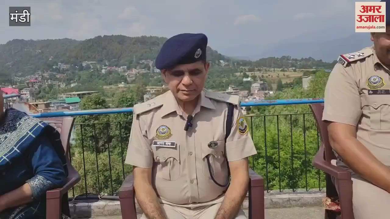 Mandi ASP Sagar Chandra said Chitta mafia is like a snake in the area everyone will be behind bars