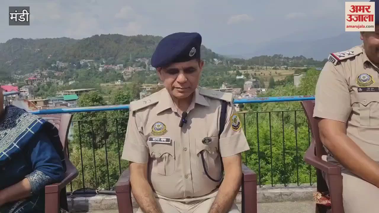 Mandi ASP Sagar Chandra said Chitta mafia is like a snake in the area everyone will be behind bars