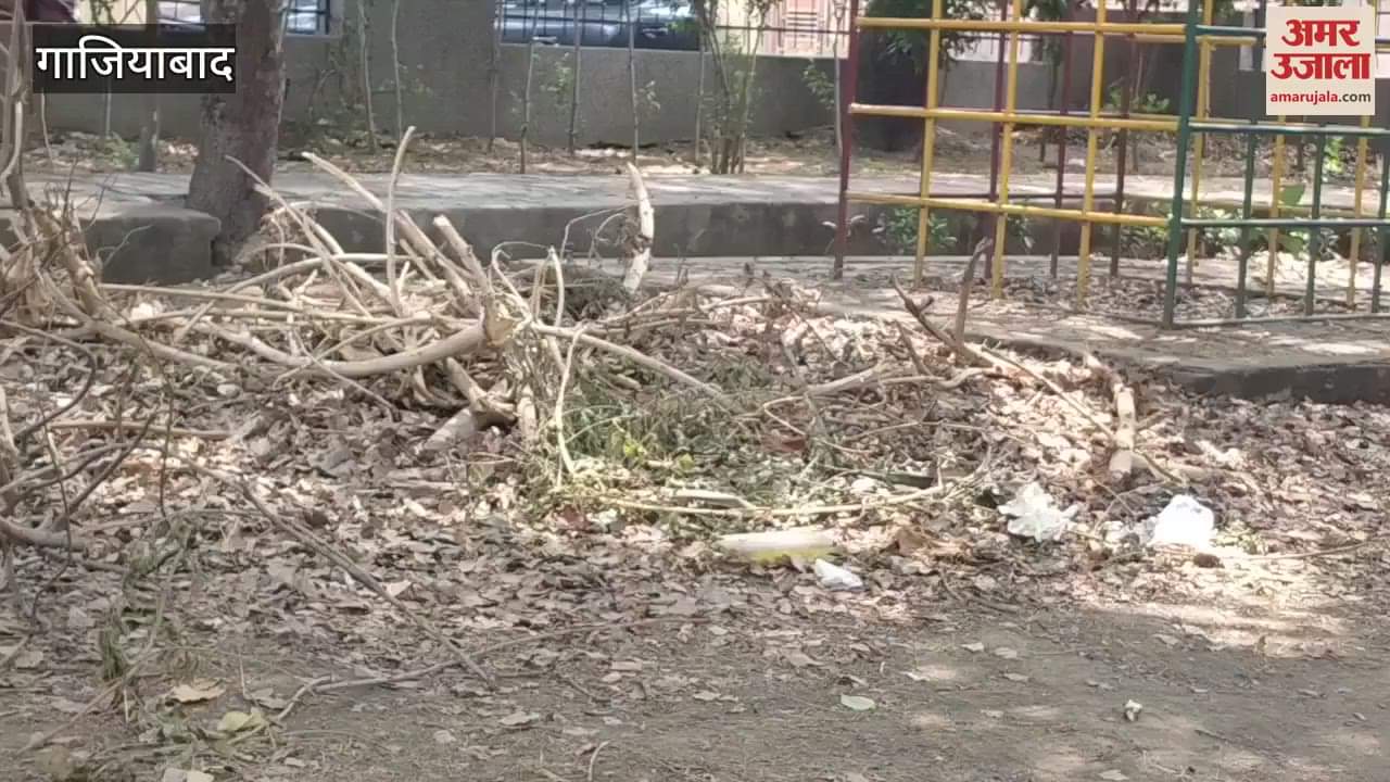 Trees fallen in Jagdamba Park in Rajendra Nagar Ghaziabad