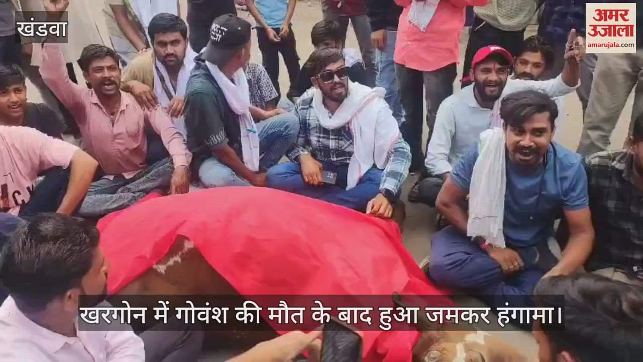 huge uproar after the death of a bull due to falling into an open safety tank