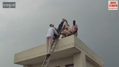 Mock drill practice in Panchkula Mini Secretariat building