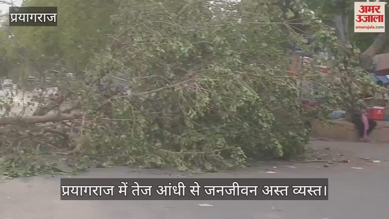 Heavy storm in Prayagraj disrupted life, traffic disrupted due to trees falling on roads