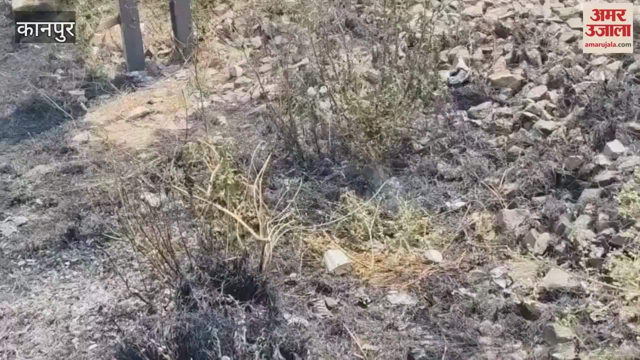 Fire broke out in bushes near the railway culvert, many trains stopped