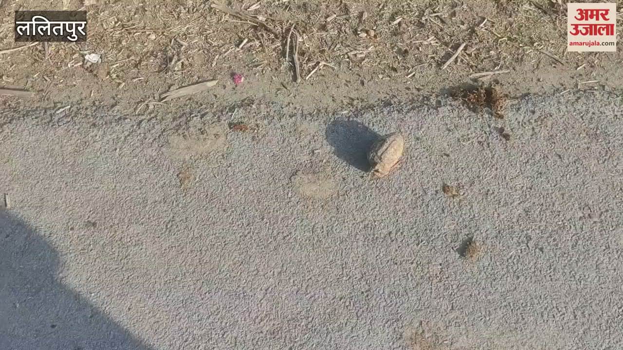 An old hand grenade was found in Pali town of Lalitpur