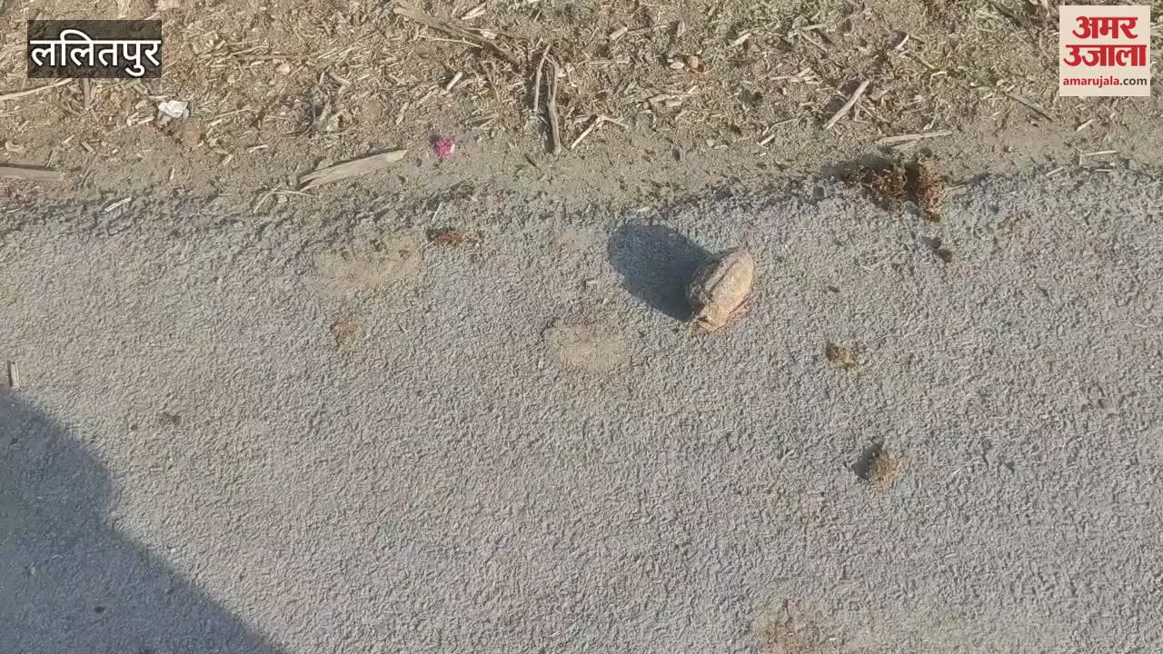 An old hand grenade was found in Pali town of Lalitpur