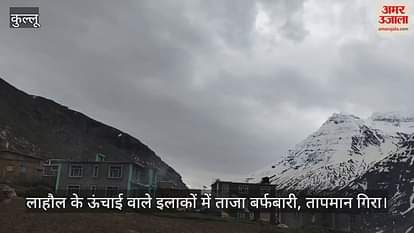Fresh snowfall in high altitude areas of Lahaul, temperature drops