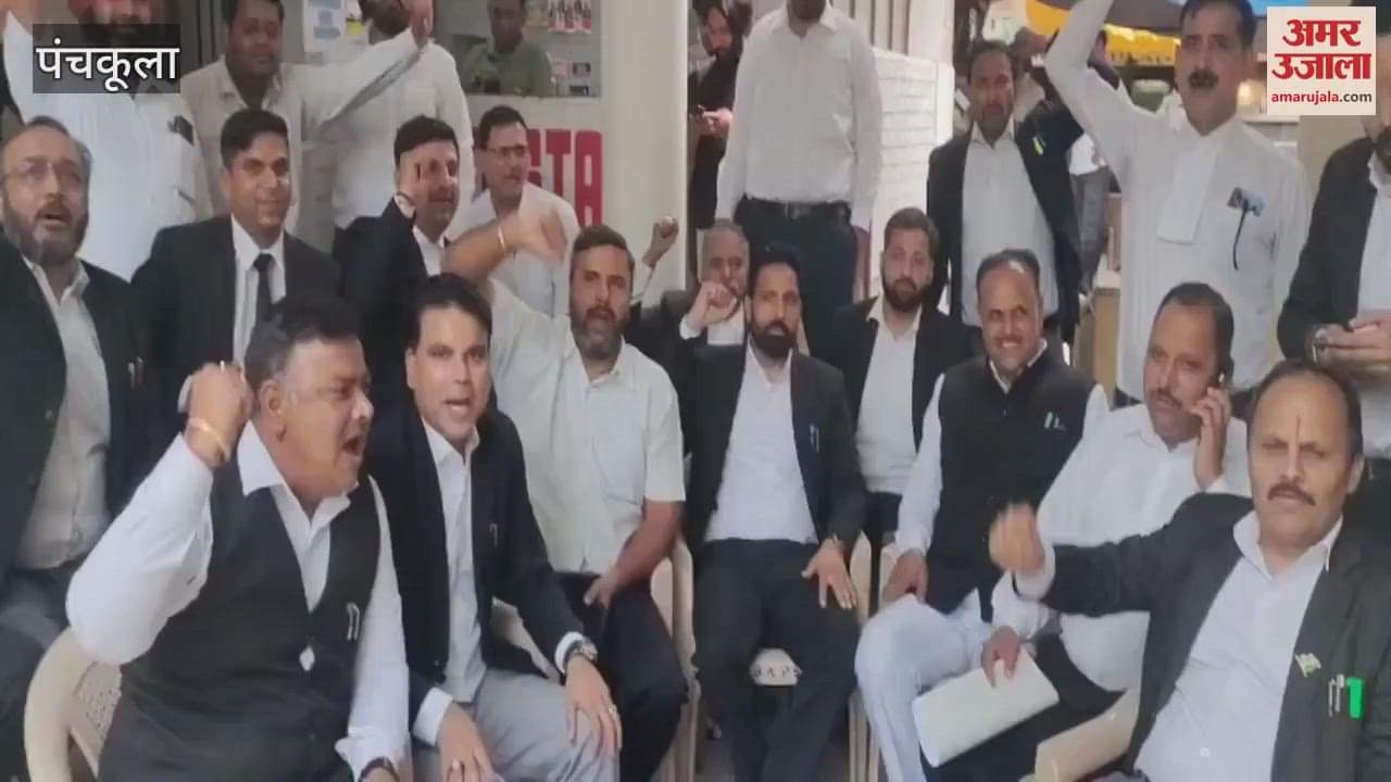Lawyers in Panchkula District Court raised slogans in support of Indian Army