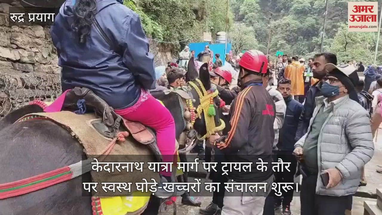 Kedarnath Yatra 2025 Operation of healthy horses and mules started on a trial basis
