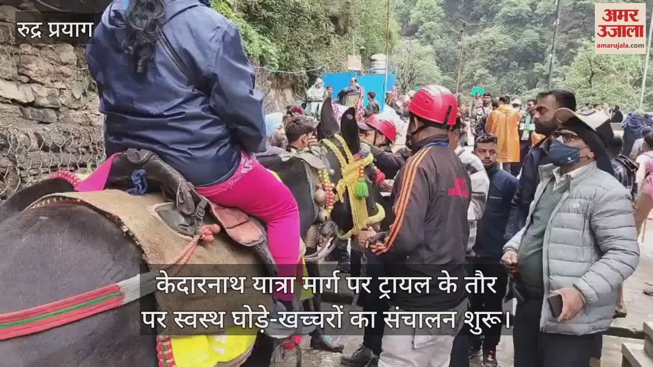 Kedarnath Yatra 2025 Operation of healthy horses and mules started on a trial basis