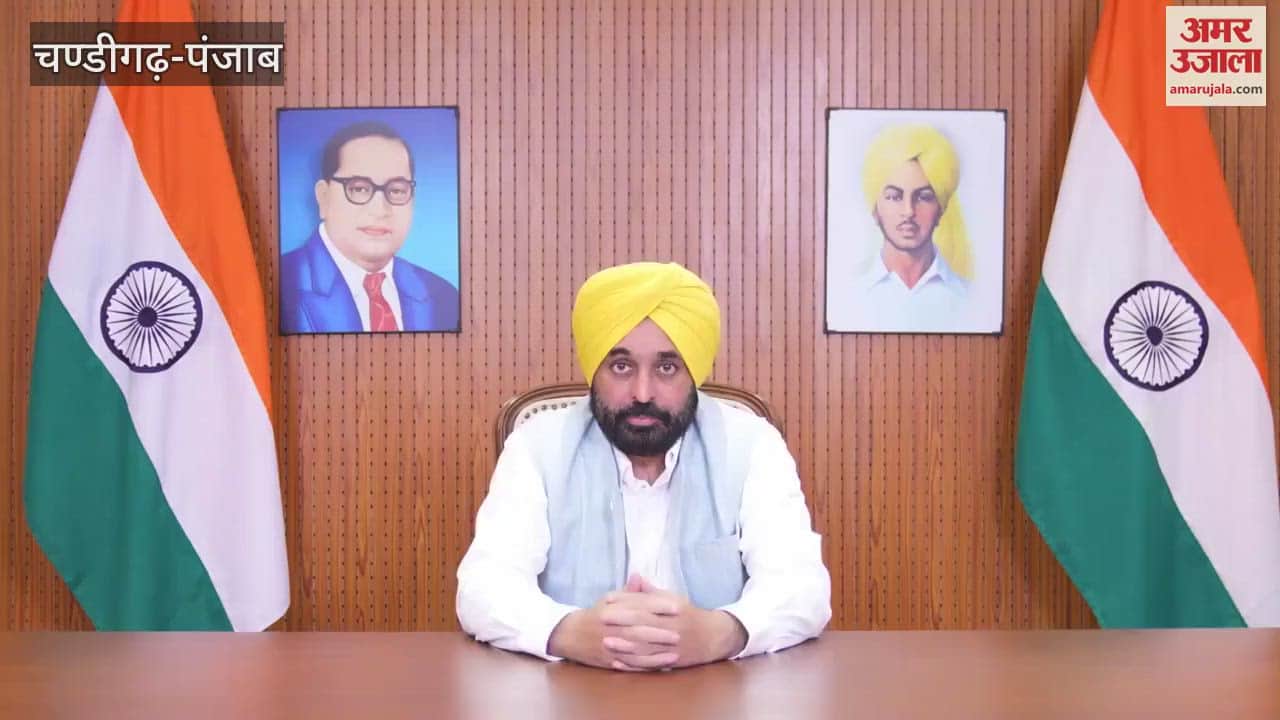 Punjab Cabinet Meeting Decision