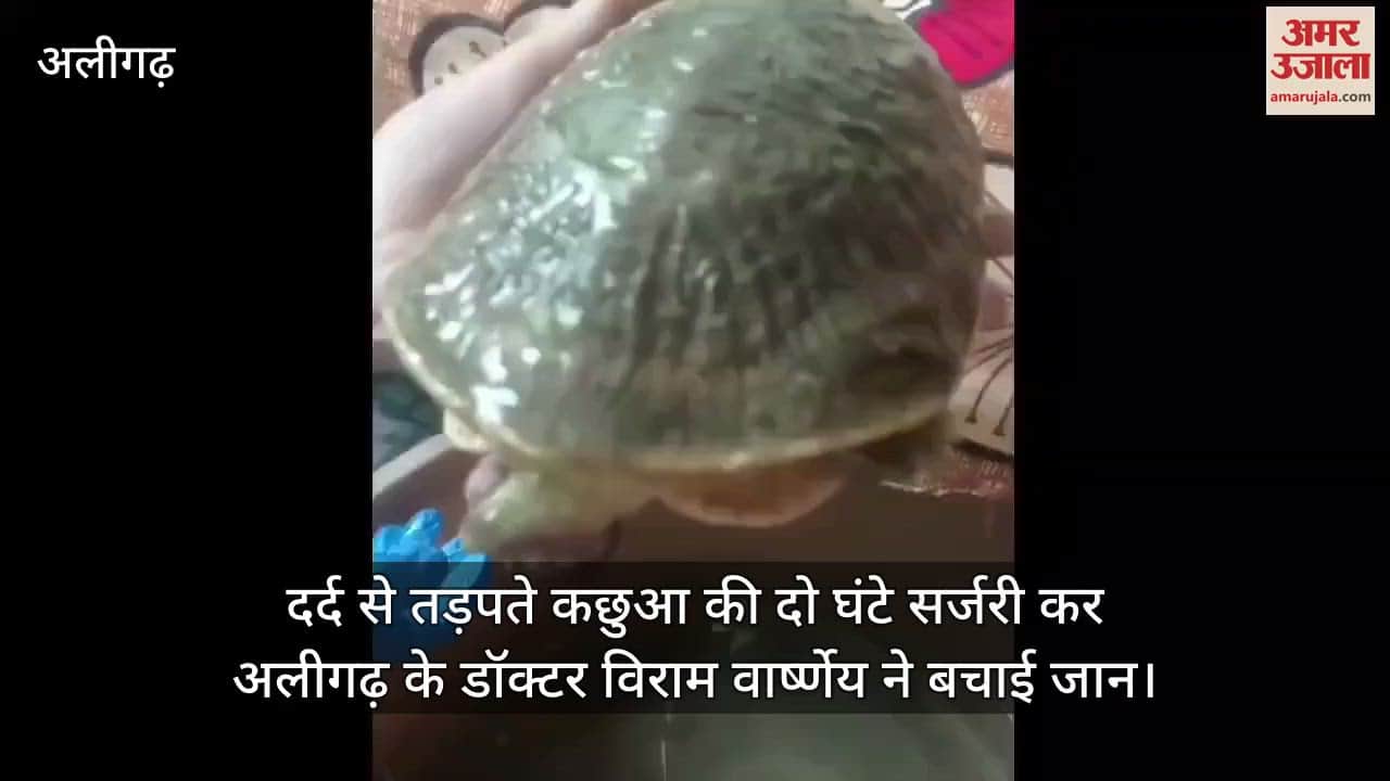 दर्द से तड़पते कछुआ की दो घंटे सर्जरी कर अलीगढ़ के डॉक्टर विराम वार्ष्णेय ने बचाई जान