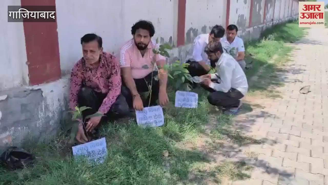 Plant trees in the name of mothers on Mother's Day