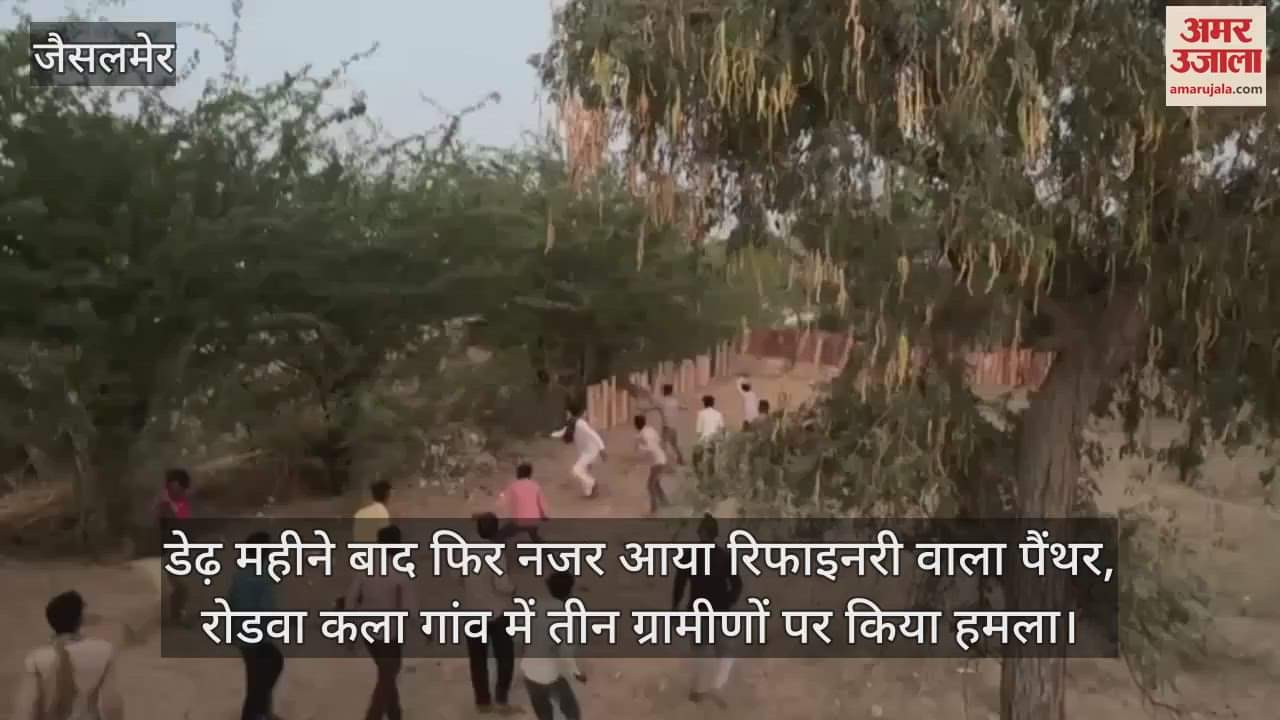 Balotra News: Panther returned again, attacked three villagers in Rodwa Kala, panic prevailed in the village