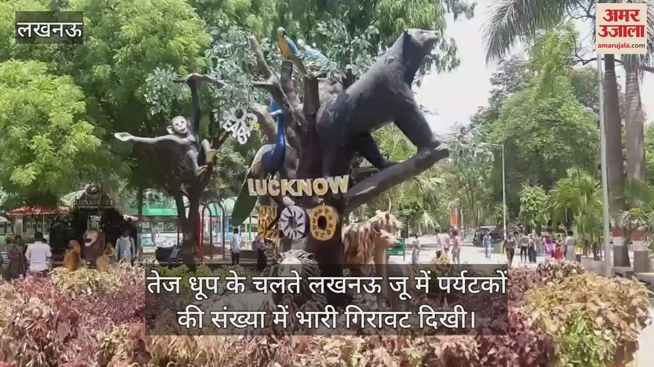 तेज धूप के चलते लखनऊ जू में पर्यटकों की संख्या में भारी गिरावट दिखी