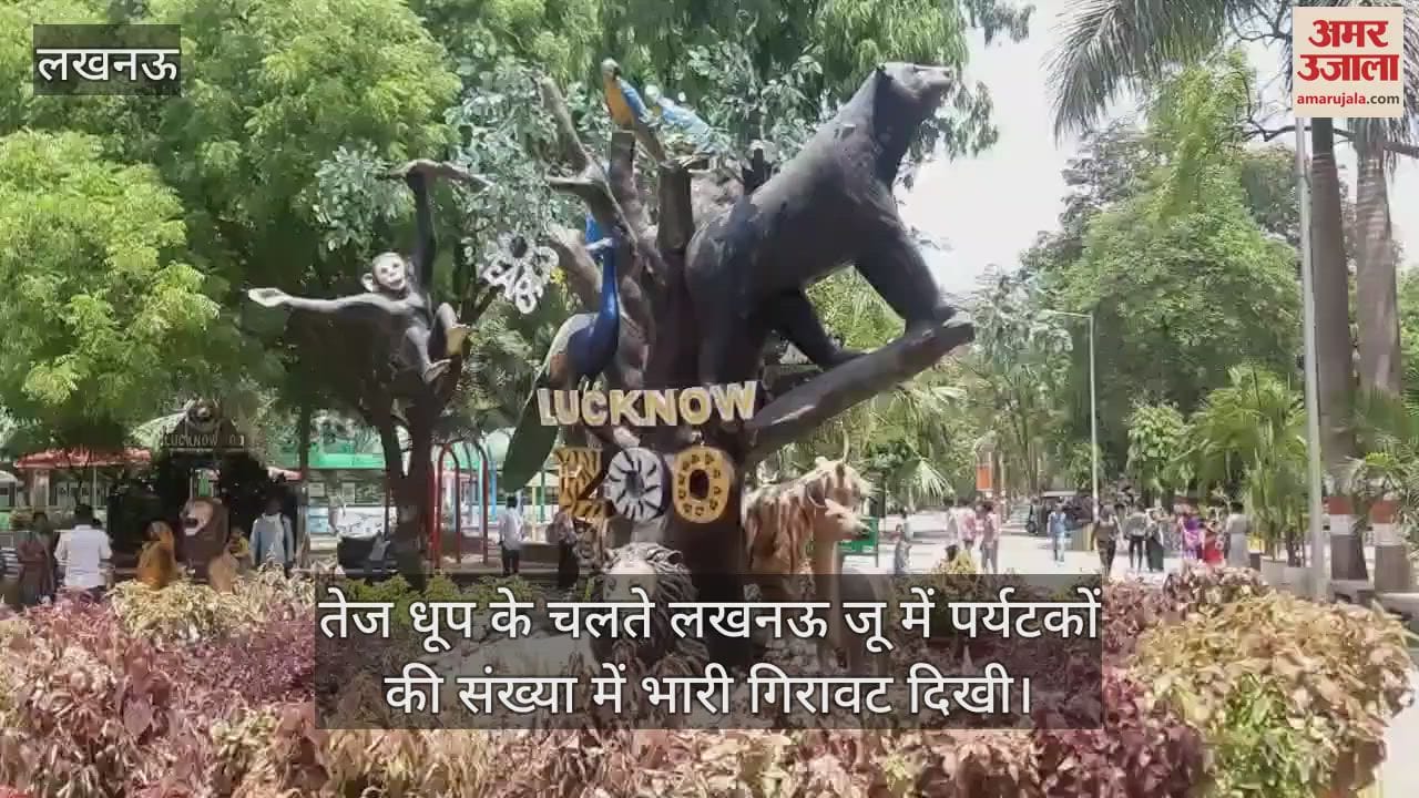 तेज धूप के चलते लखनऊ जू में पर्यटकों की संख्या में भारी गिरावट दिखी