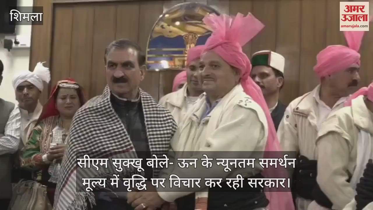 CM Sukhu said-Govt is considering increasing the minimum support price of wool