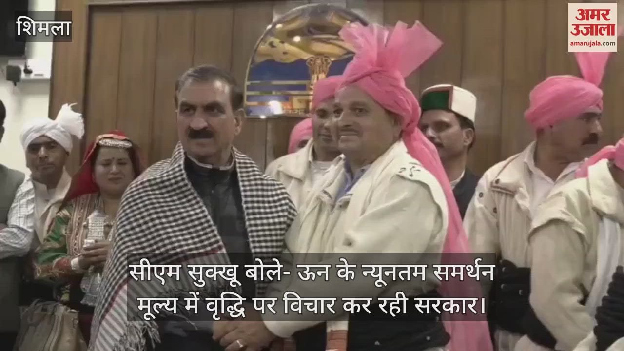 CM Sukhu said-Govt is considering increasing the minimum support price of wool