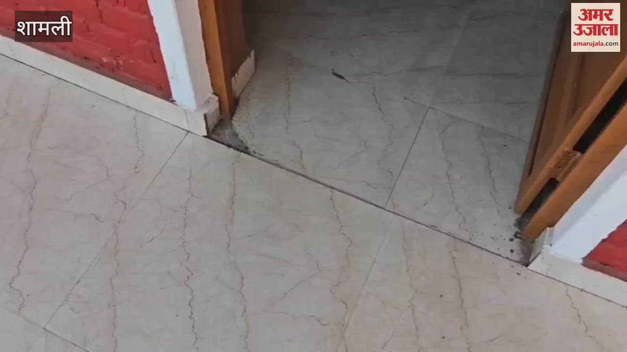 Tips for success in UPSC and NEET exams given in workshop in Shamli