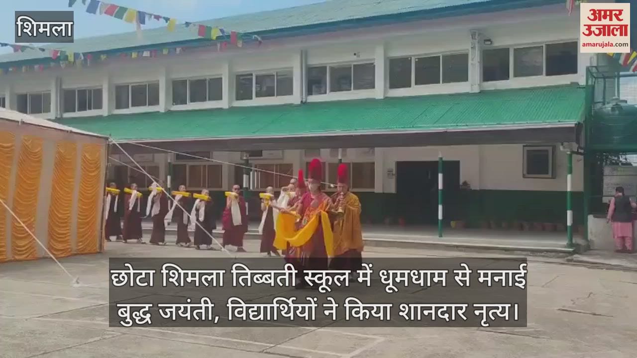 Buddha Jayanti celebrated with great pomp in Chota Shimla Tibetan School, students performed a wonderful dance