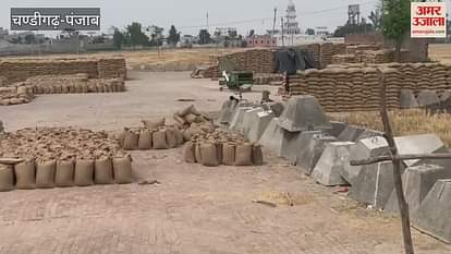 फिरोजपुर के ममदोट में मंडियों में पड़ा गेहूं, नहीं मिल रहे मजदूर