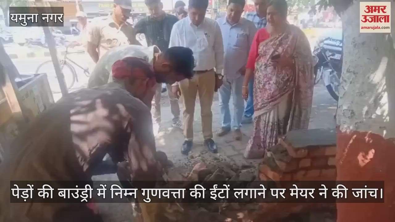 Mayor investigates the use of low quality bricks in the boundary of trees