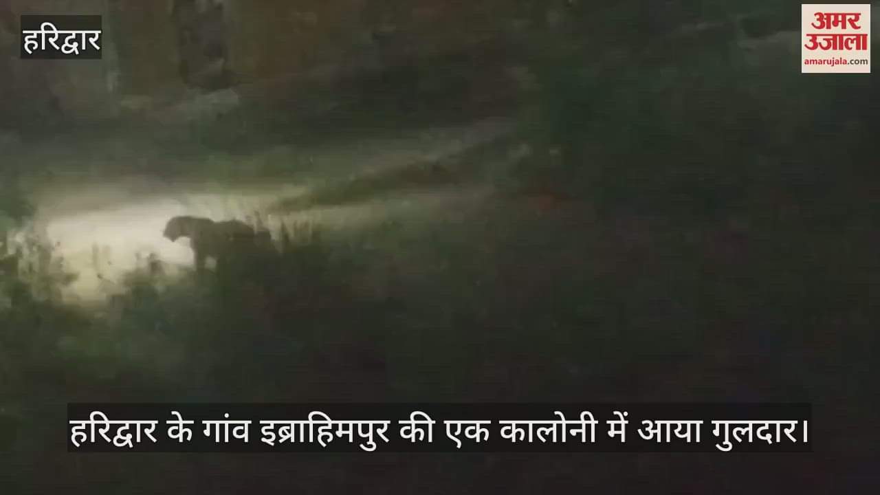 Leopard entered a colony of Ibrahimpur village in Haridwar, captured in CCTV