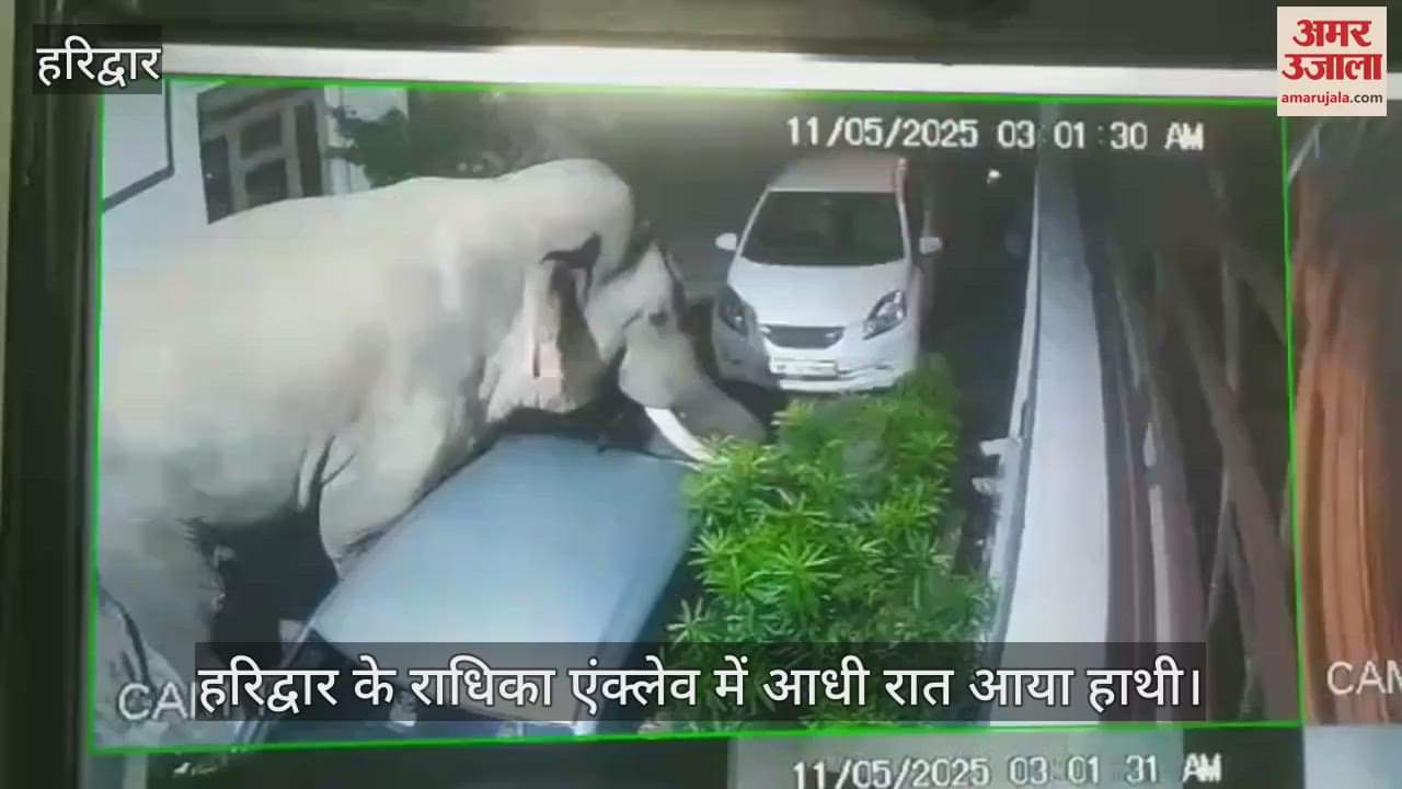 An Elephant came to Haridwar Radhika Enclave incident was captured on CCTV