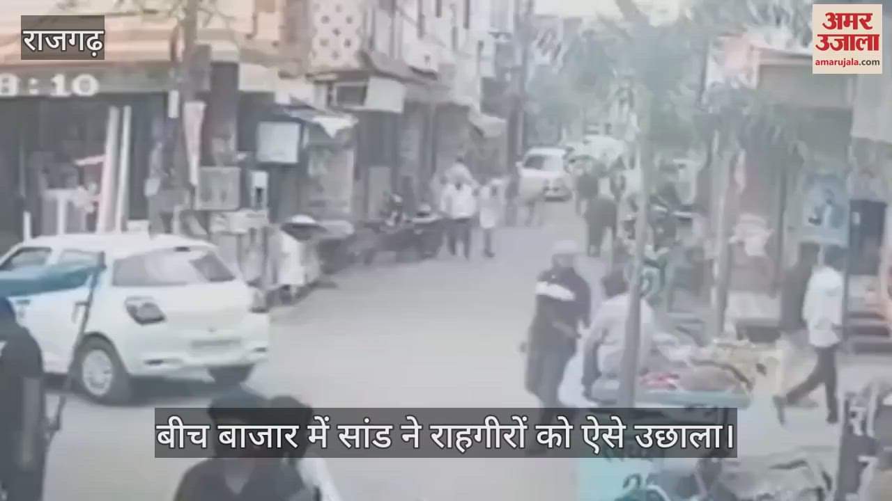 Rajgarh News: Elderly man dies in bullfight in Narsinghgarh