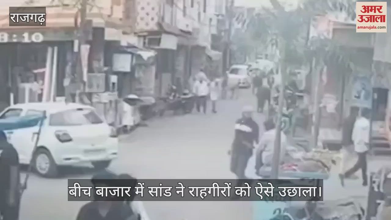 Rajgarh News: Elderly man dies in bullfight in Narsinghgarh