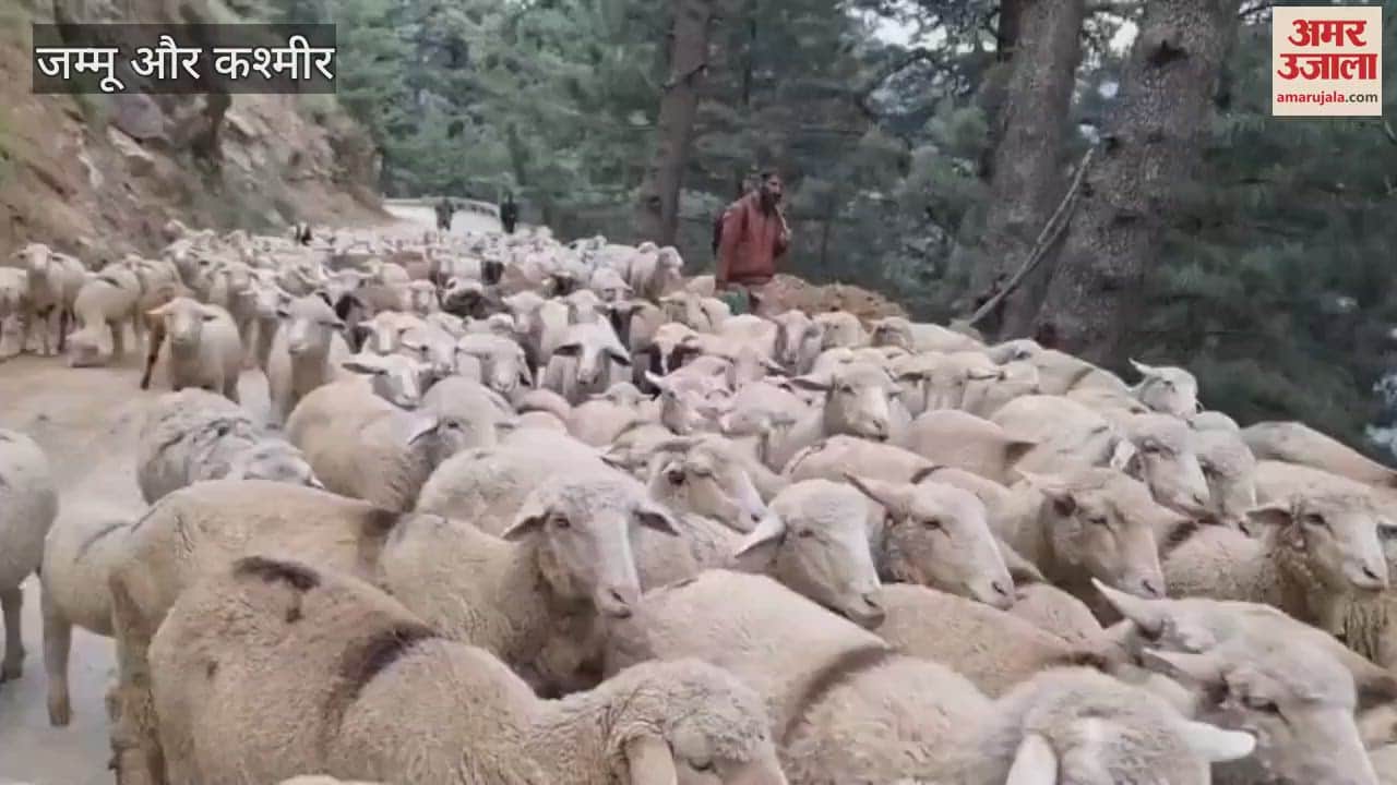 Impact of Pahalgam attack; Bakarwal said- 'Our animals are hungry, government please open the way