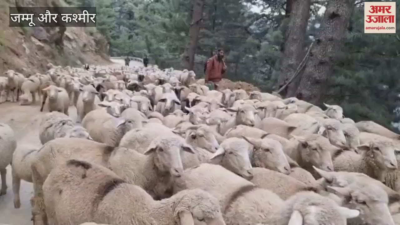 Impact of Pahalgam attack; Bakarwal said- 'Our animals are hungry, government please open the way