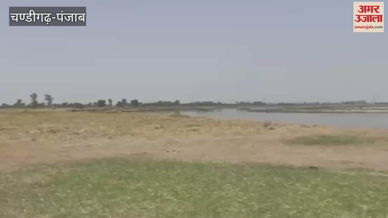 Moga police took a big action against illegal liquor, 1200 liters of lahan recovered