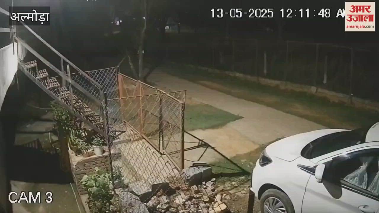 Three leopards caught on CCTV in Matela village Almora