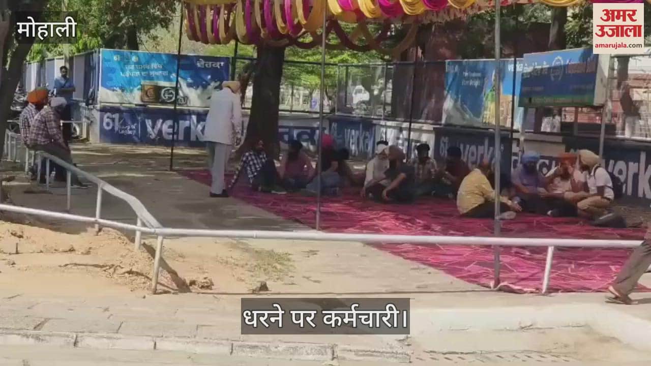 Employees protest by closing gate of Verka plant in Mohali