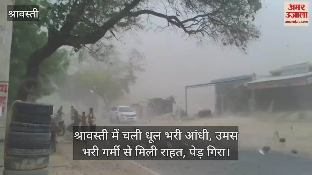 VIDEO: श्रावस्ती में चली धूल भरी आंधी, उमस भरी गर्मी से मिली राहत, पेड़ गिरा