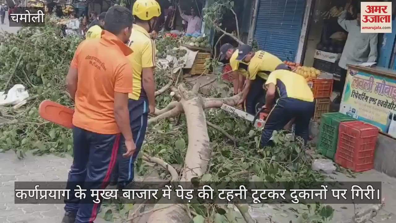 tree branch broke and fell on shops in the main market of Karnaprayag, a major accident was averted