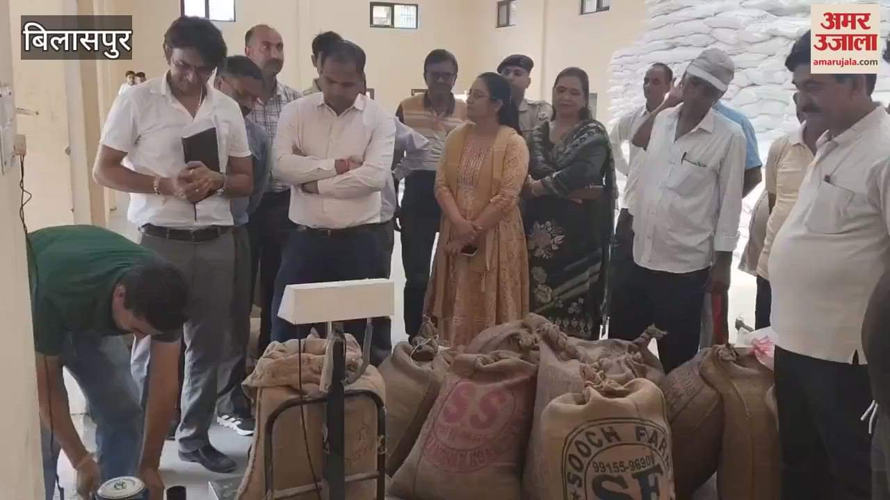 Bilaspur 22 quintals of natural wheat sold by 17 farmers on the first day in the district