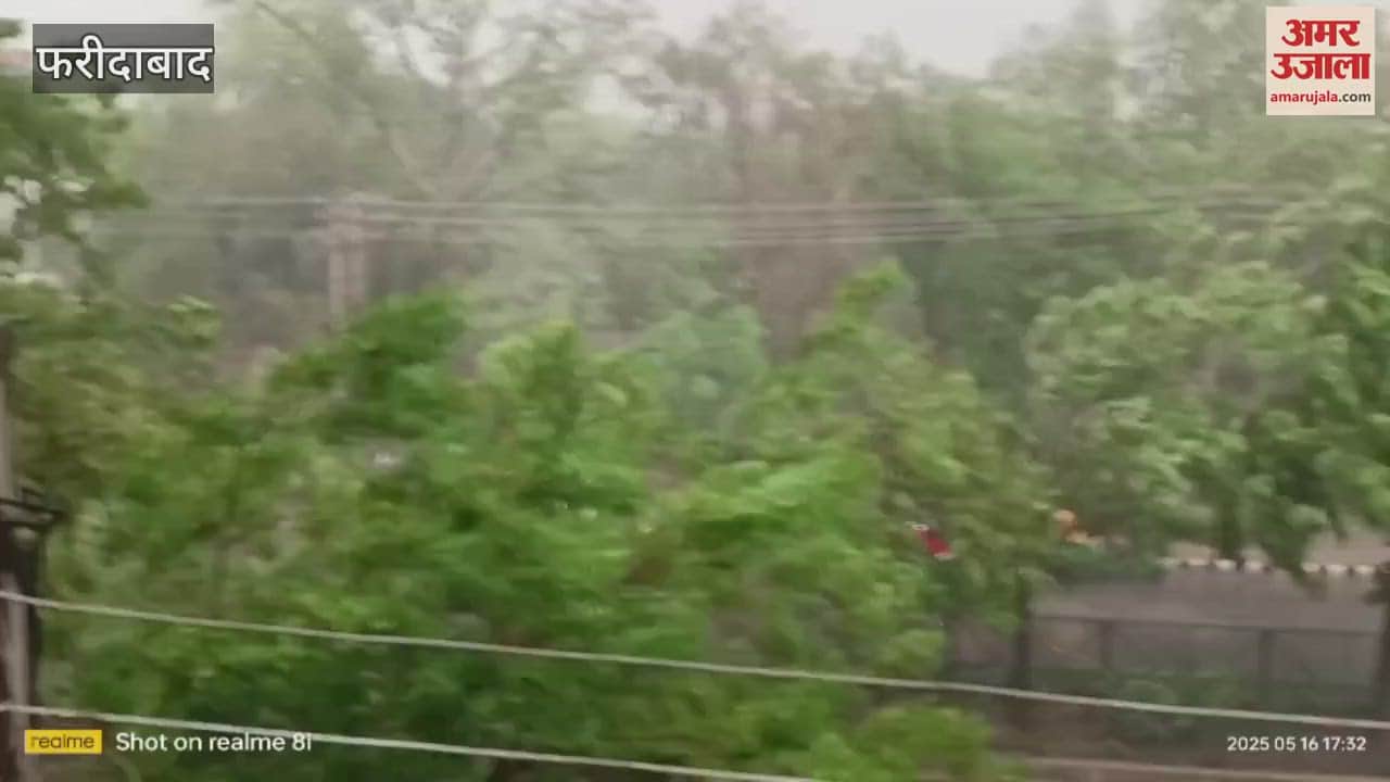 Heavy rain accompanied by strong winds in Faridabad