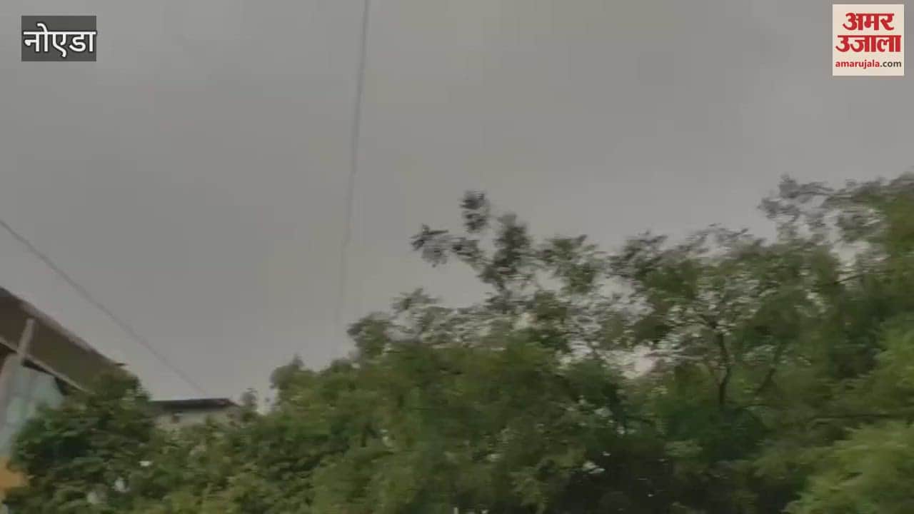 After the scorching heat in Noida, the weather is pleasant in the evening