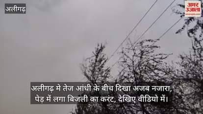 अलीगढ़ मे तेज आंधी के बीच दिखा अजब नजारा, पेड़ में लगा बिजली का करंट, देखिए वीडियो में