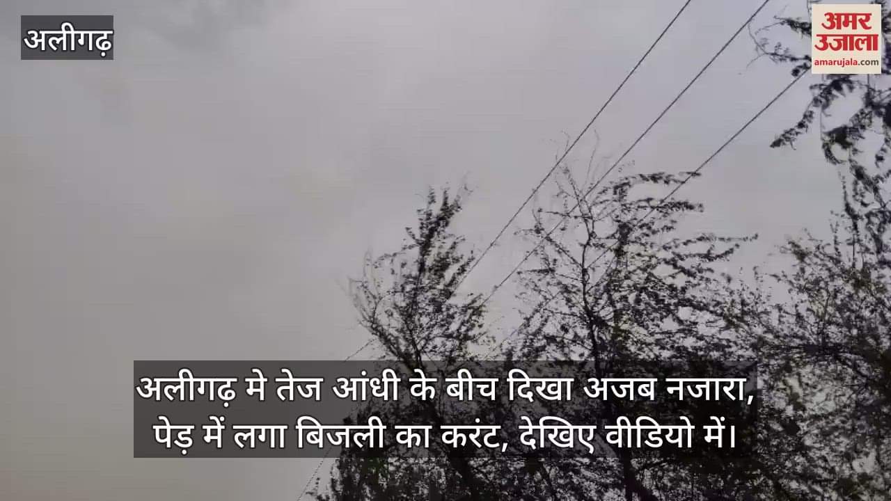 अलीगढ़ मे तेज आंधी के बीच दिखा अजब नजारा, पेड़ में लगा बिजली का करंट, देखिए वीडियो में