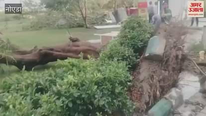 Strong winds wreaked havoc in Noida's JP Aman Society