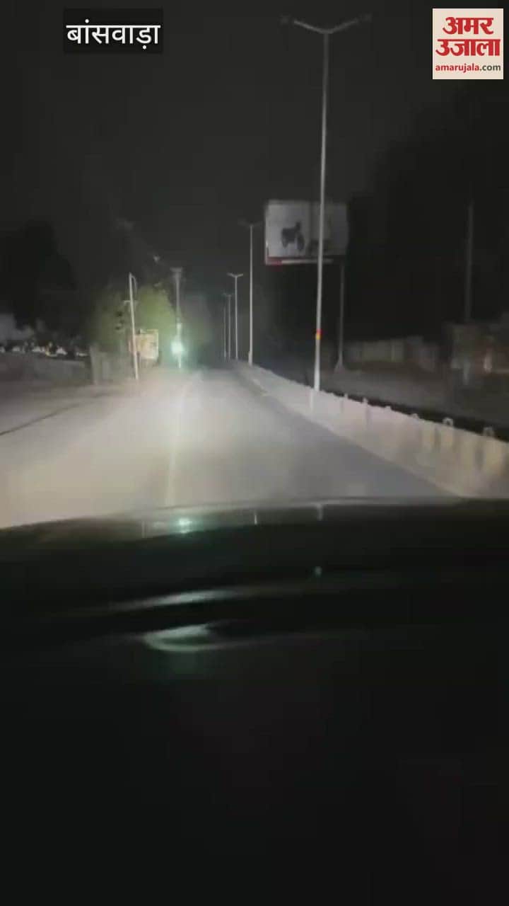 Leopard seen walking on the road in Banswara