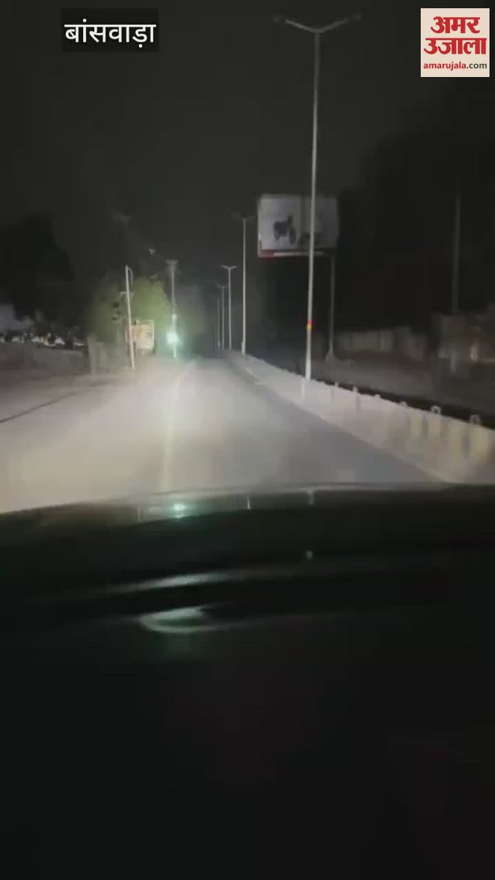 Leopard seen walking on the road in Banswara